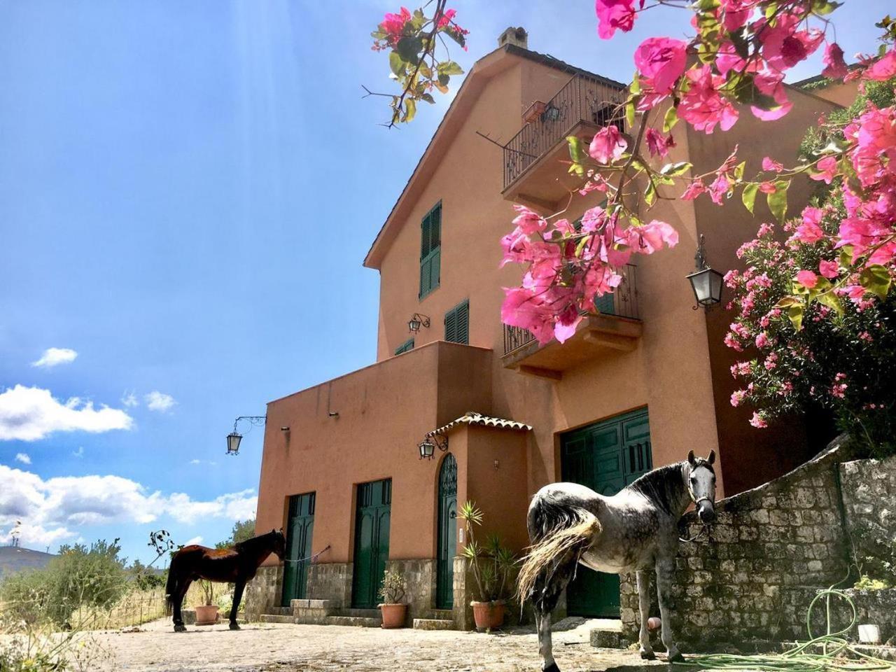 Country Room Sicily - Agrigentoholidays ภายนอก รูปภาพ